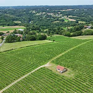 Vue de drone du vignoble du Domaine des Gabies, domaine viticole en Haute-Vienne